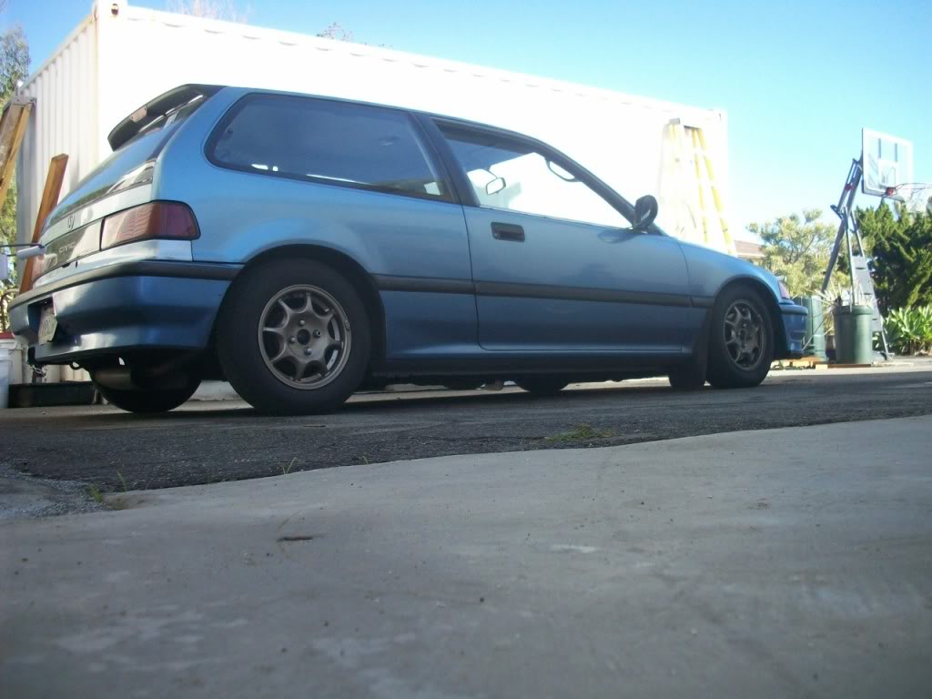 Name:  100_0502.jpg
Views: 14
Size:  99.2 KB