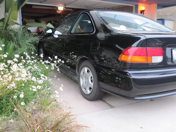 Name:  civic_3.jpg
Views: 88
Size:  81.5 KB