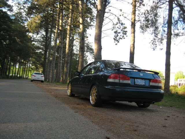 Name: picture037.jpg
Views: 125
Size: 84.6 KB