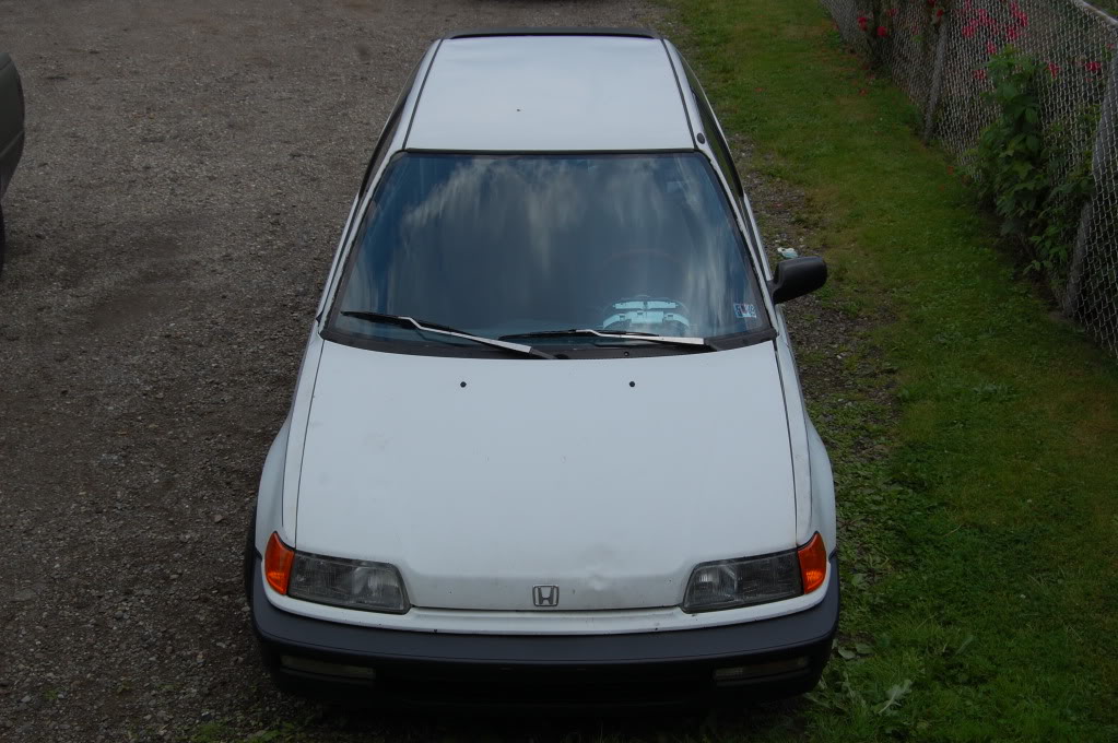 Name: DSC_0348.jpg
Views: 22
Size: 154.9 KB