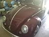 New member in Cali! 98' EX-bug-2.jpg