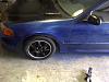 New from Florida-img-20110424-00198.jpg