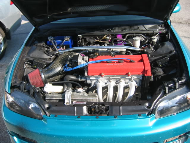 Name:  IFOspring07016.jpg
Views: 46
Size:  81.0 KB