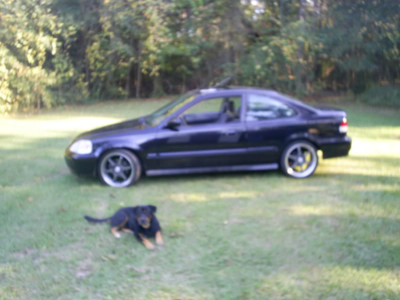 Name:  S4020407.jpg
Views: 21
Size:  50.7 KB