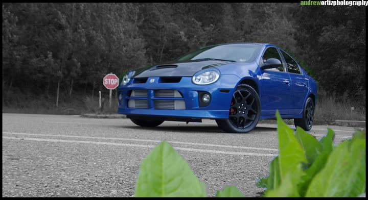 Name:  p1010006photoshopped3bi.jpg
Views: 30
Size:  61.1 KB