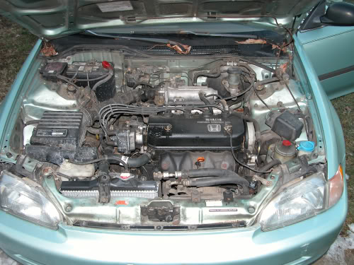 Name: DSCN0018.jpg
Views: 47
Size: 59.0 KB