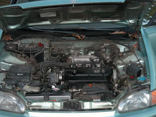 Name: DSCN0015.jpg
Views: 59
Size: 48.2 KB