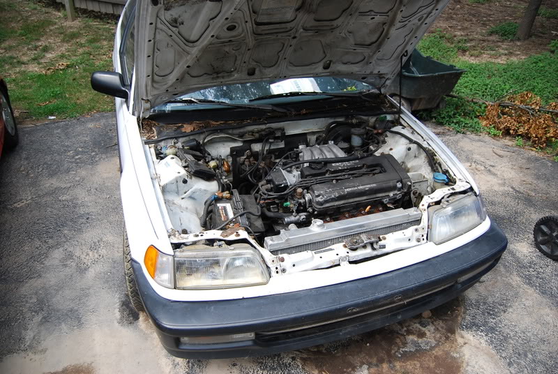 Name: whitehatch1.jpg
Views: 65
Size: 159.2 KB