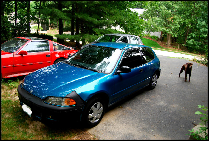 Name: DSC_0034.jpg
Views: 72
Size: 171.6 KB
