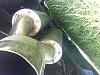 Im new:)-l_103a4af14804f304da33fc663f8ad37d.jpg