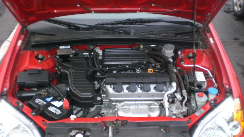 Name:  CIMG4542.jpg
Views: 26
Size:  54.8 KB
