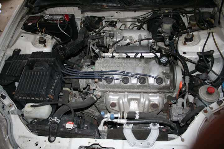 Name:  enginebay.jpg
Views: 81
Size:  86.9 KB