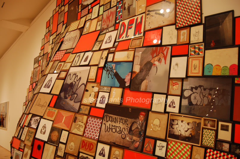 Name:  DSC_1035.jpg
Views: 179
Size:  187.0 KB