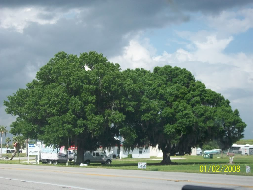 Name: 100_0315.jpg
Views: 26
Size: 135.0 KB
