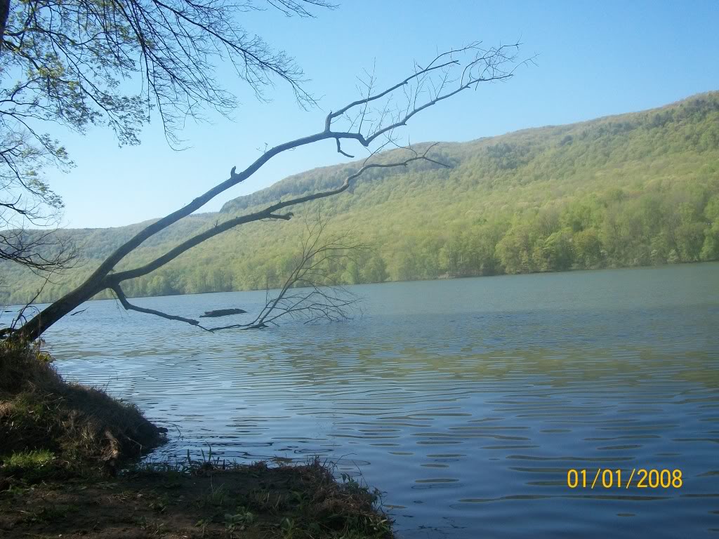 Name: 100_0308.jpg
Views: 28
Size: 178.8 KB
