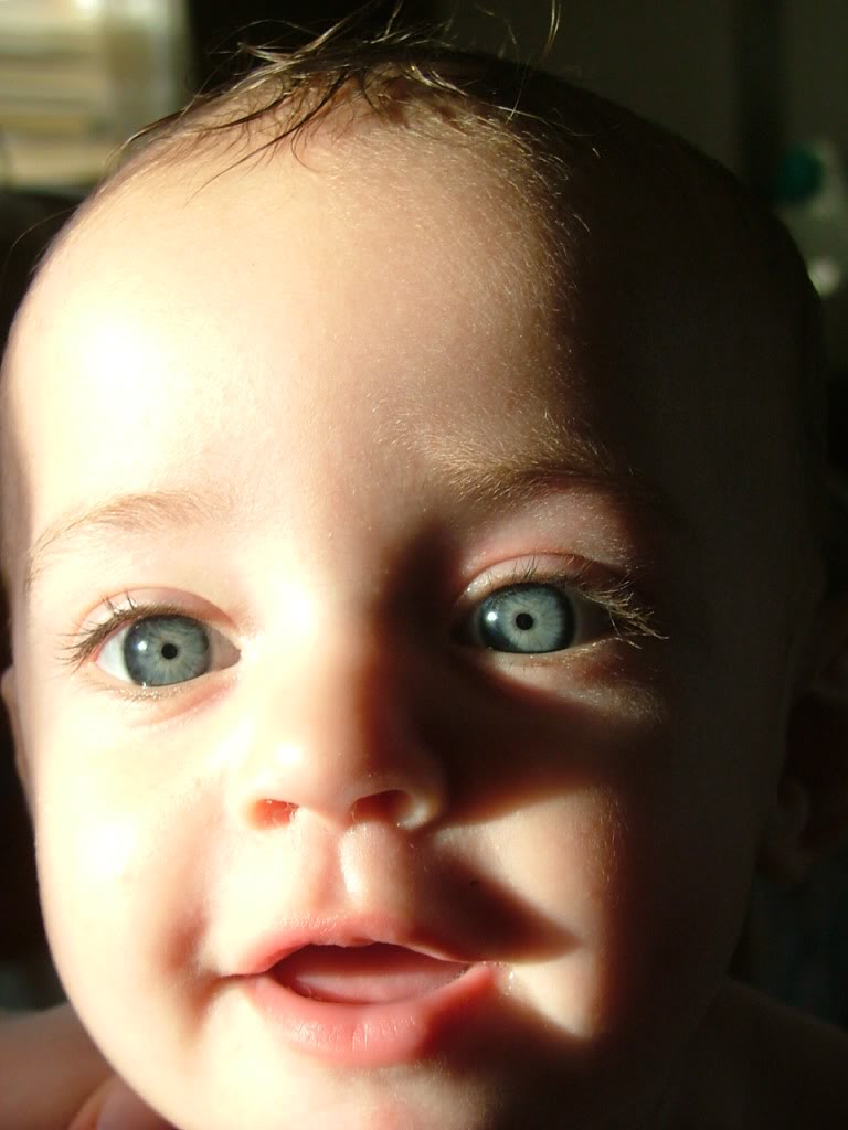Name: DSCF3086.jpg
Views: 37
Size: 74.6 KB