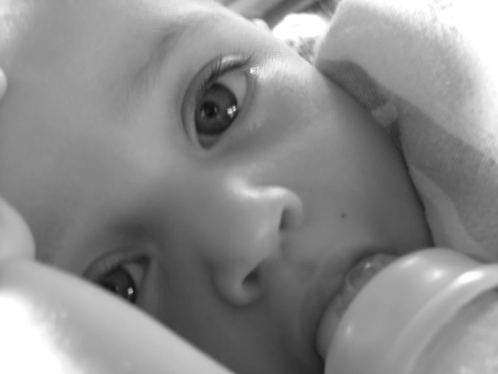 Name:  DSCF3128.jpg
Views: 29
Size:  41.9 KB