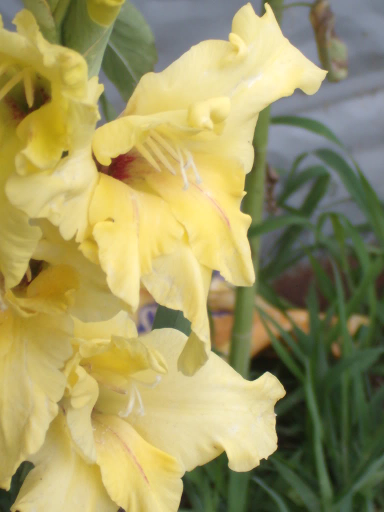 Name: GEDC0977.jpg
Views: 40
Size: 63.3 KB
