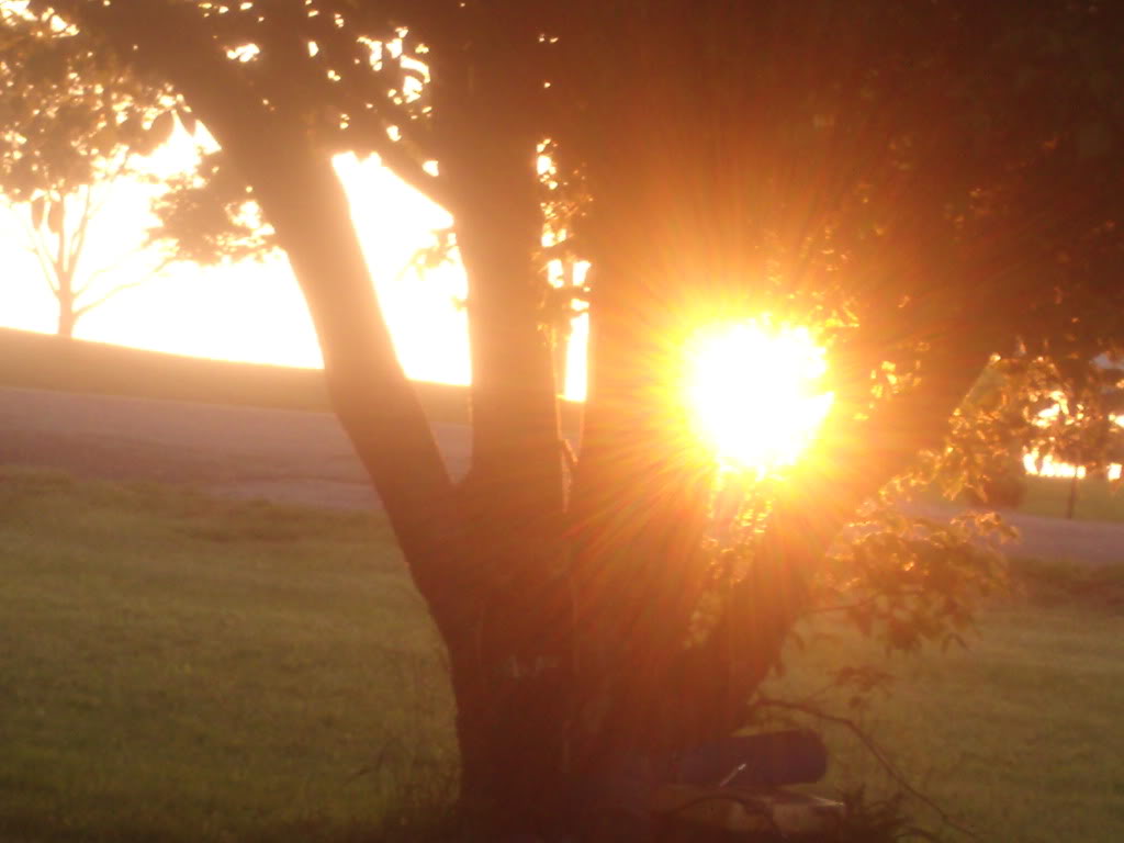Name: GEDC0770.jpg
Views: 43
Size: 59.6 KB