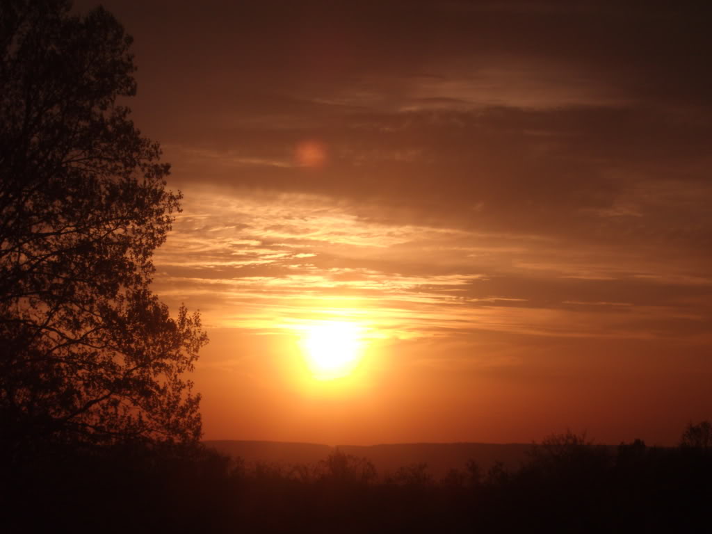 Name: GEDC0539.jpg
Views: 56
Size: 63.9 KB