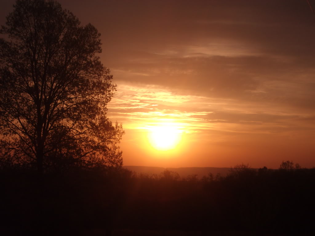 Name: GEDC0536.jpg
Views: 54
Size: 74.4 KB