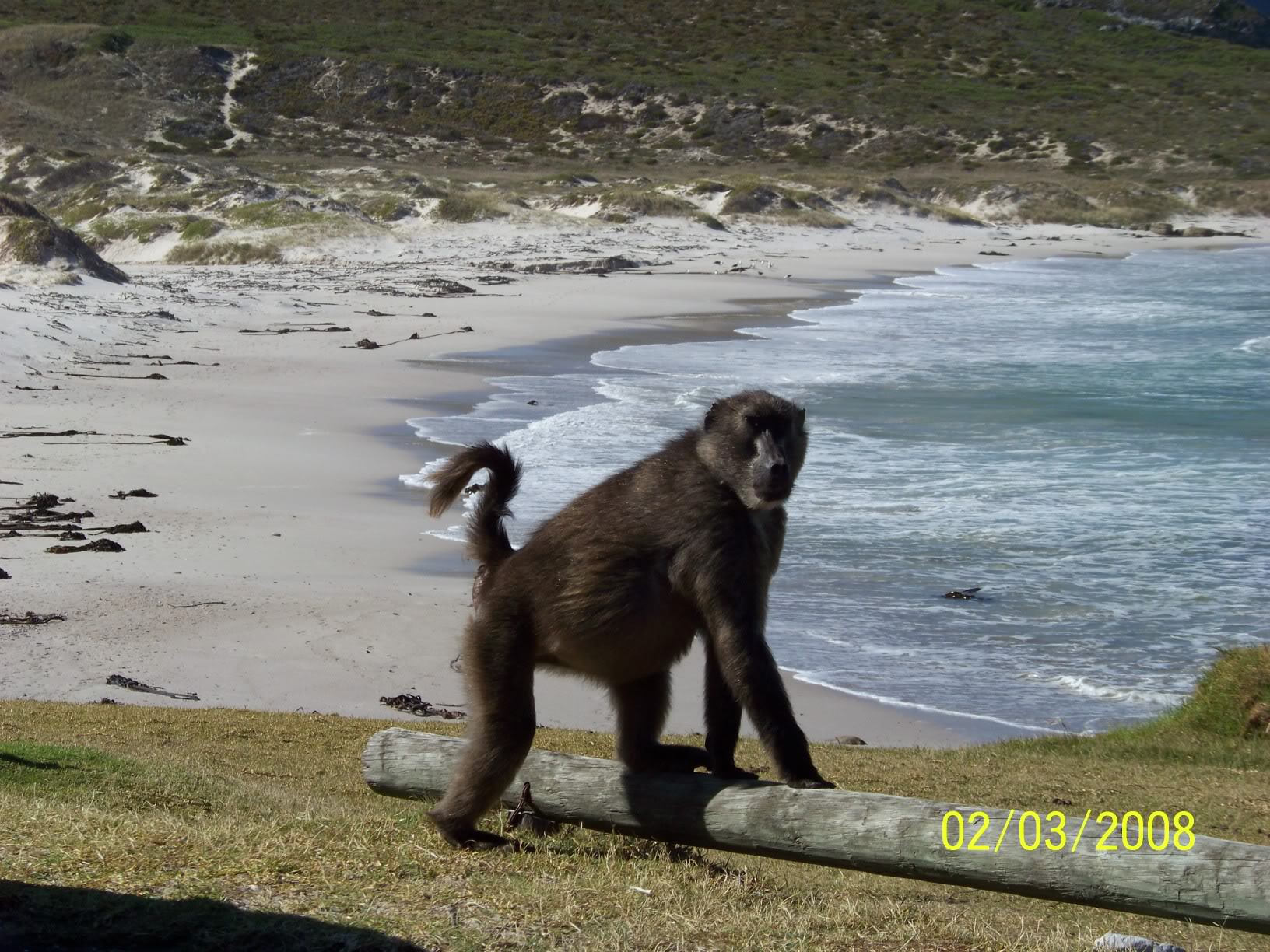 Name: 100_0154.jpg
Views: 26
Size: 411.5 KB