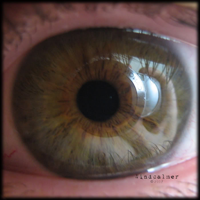 Name:  eyethree.jpg
Views: 61
Size:  49.4 KB