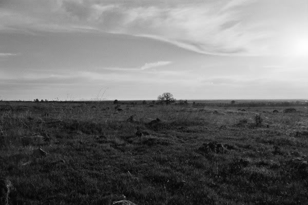 Name:  _9A_0004bw.jpg
Views: 67
Size:  43.9 KB