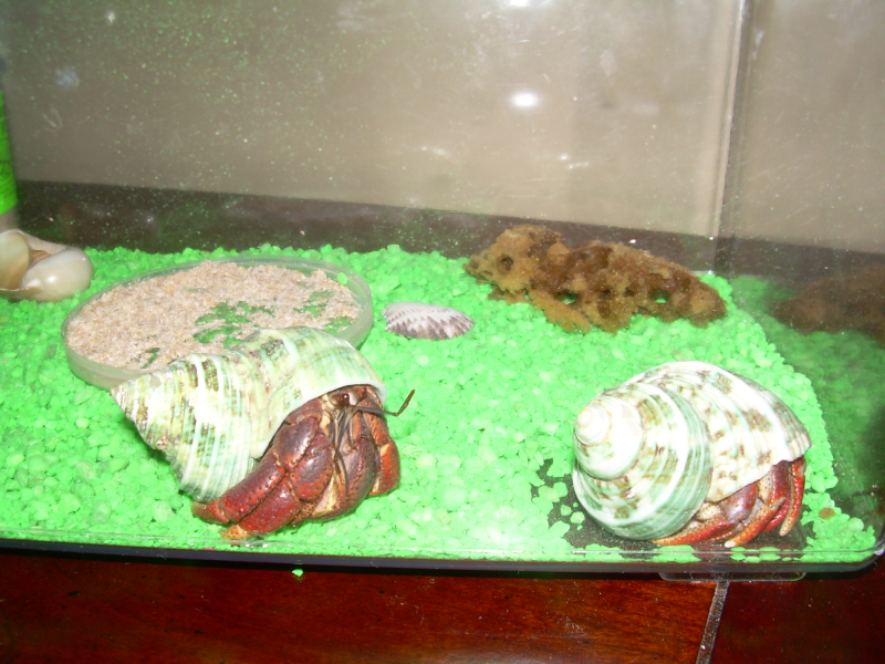 Name:  vacation3028.png
Views: 25
Size:  713.2 KB