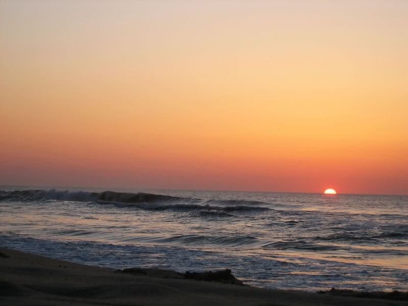 Name:  98.jpg
Views: 47
Size:  41.9 KB