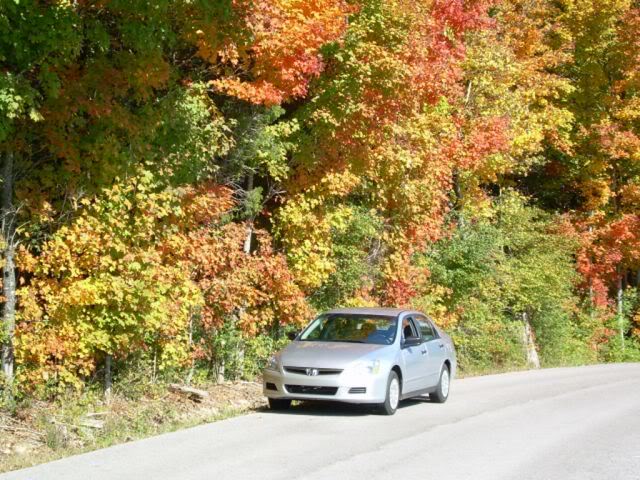Name:  wagon017.jpg
Views: 52
Size:  124.8 KB
