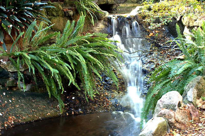 Name:  Descanso1.jpg
Views: 36
Size:  194.1 KB