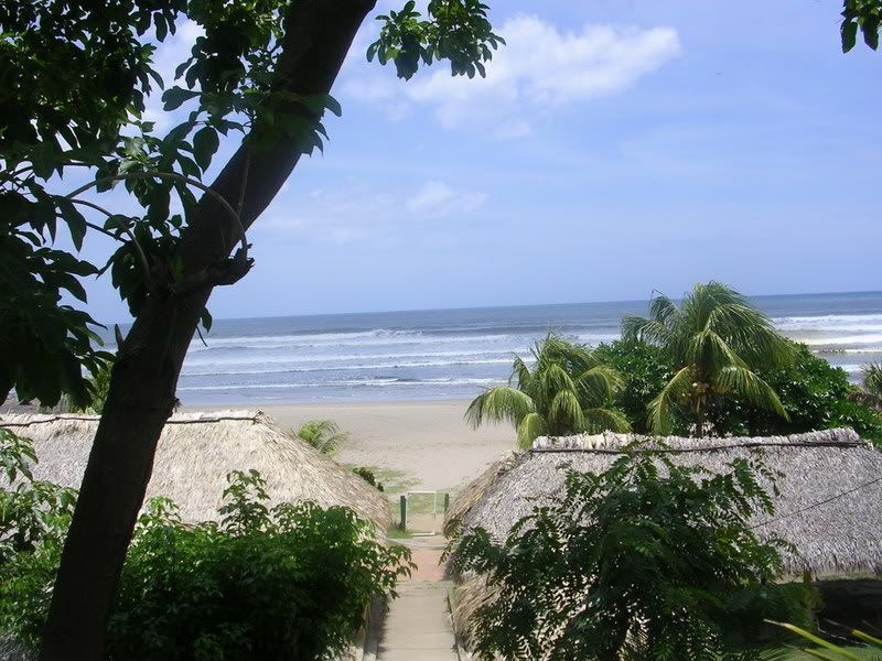 Name:  DSCN5145.jpg
Views: 118
Size:  116.7 KB