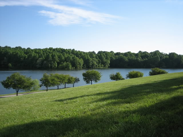 Name:  IMG_0176.jpg
Views: 125
Size:  61.3 KB
