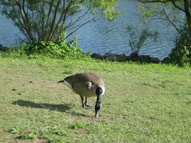 Name:  IMG_0177.jpg
Views: 127
Size:  132.7 KB