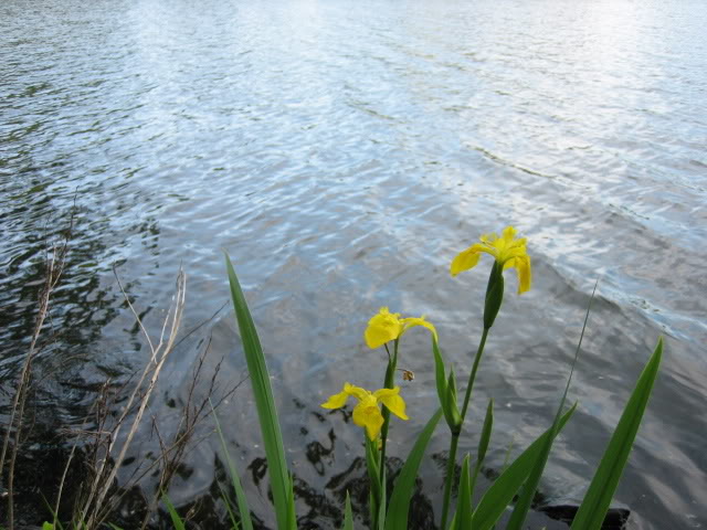 Name:  IMG_0187.jpg
Views: 127
Size:  68.4 KB