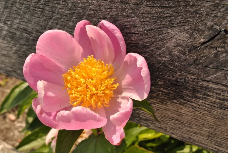 Name:  9-2.jpg
Views: 156
Size:  94.9 KB