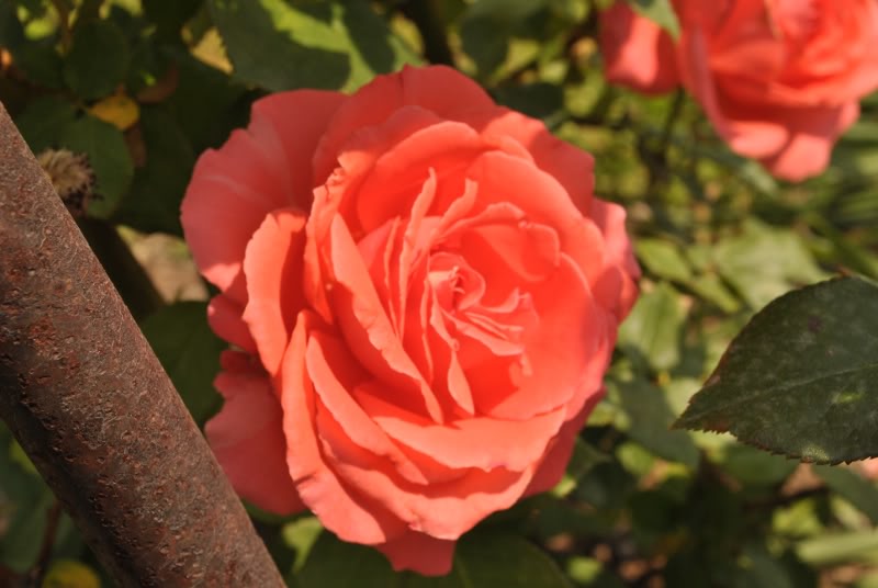 Name:  8-2.jpg
Views: 199
Size:  53.5 KB