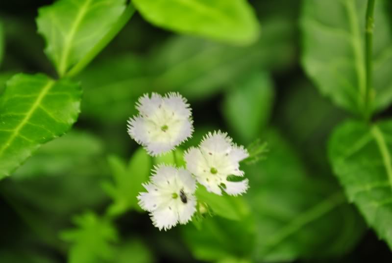 Name:  3-3.jpg
Views: 142
Size:  32.5 KB