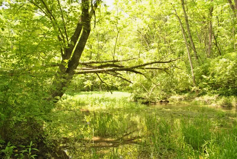 Name:  26.jpg
Views: 233
Size:  188.7 KB