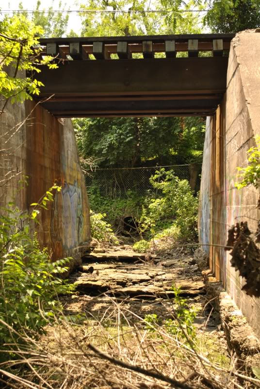 Name:  25.jpg
Views: 136
Size:  144.5 KB