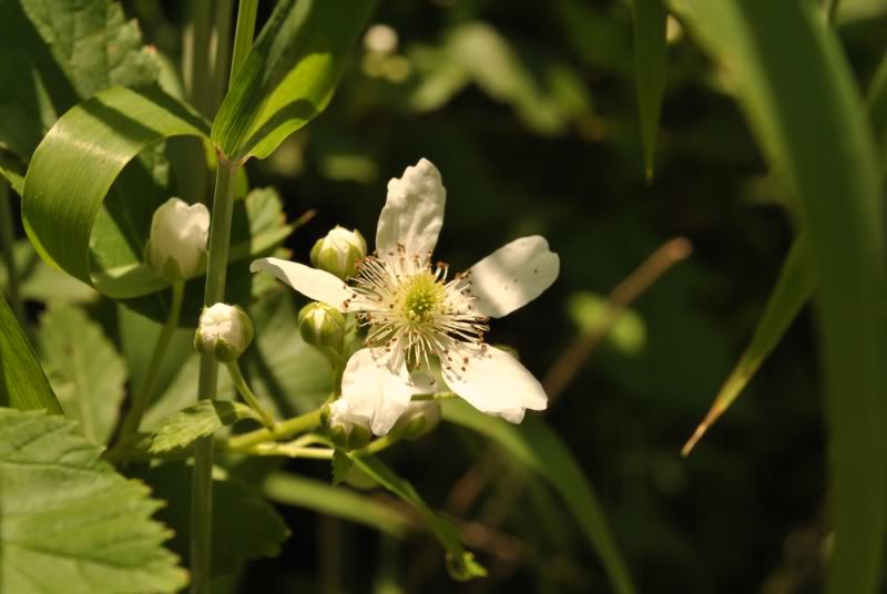 Name:  23.jpg
Views: 139
Size:  44.8 KB