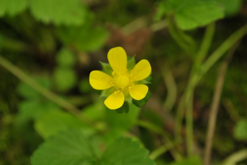 Name:  22.jpg
Views: 185
Size:  26.8 KB