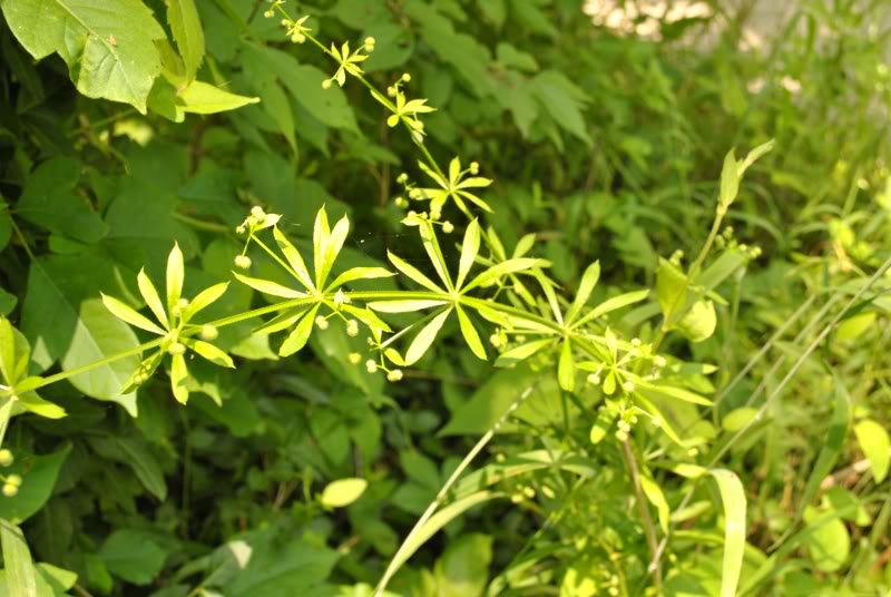 Name:  21.jpg
Views: 145
Size:  74.2 KB