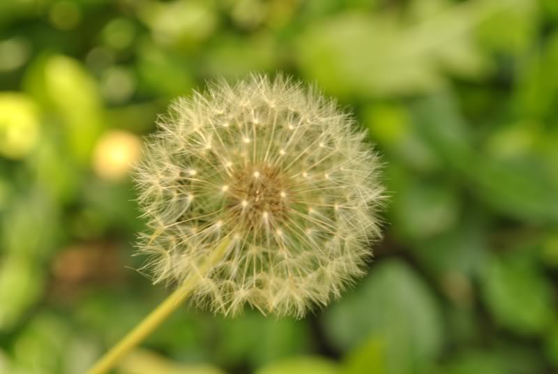 Name:  19.jpg
Views: 146
Size:  42.3 KB