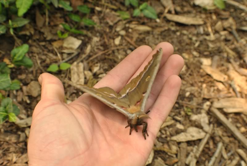 Name:  17.jpg
Views: 182
Size:  54.0 KB