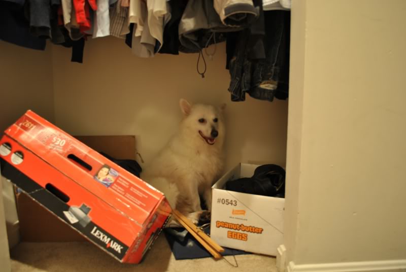 Name:  kitsune.jpg
Views: 49
Size:  43.0 KB