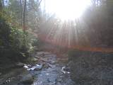 Name: 0103101440b.jpg
Views: 31
Size: 3.9 KB