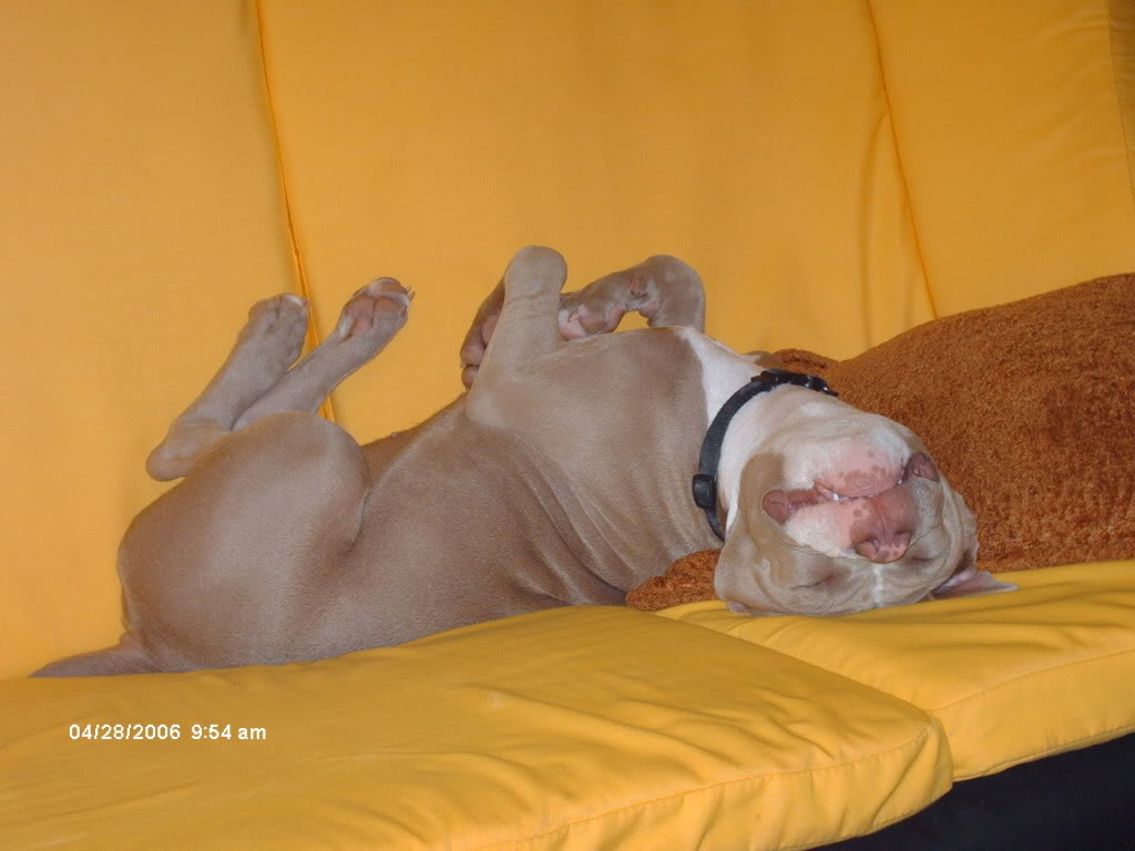 Name:  Picture001.jpg
Views: 73
Size:  92.8 KB