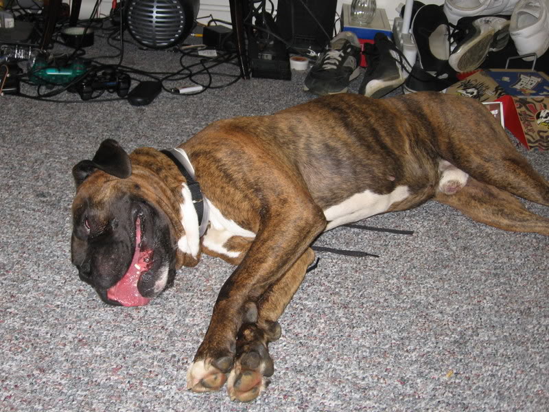 Name: pics003.jpg
Views: 32
Size: 150.0 KB